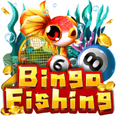 Câu Cá Bingo AX8
