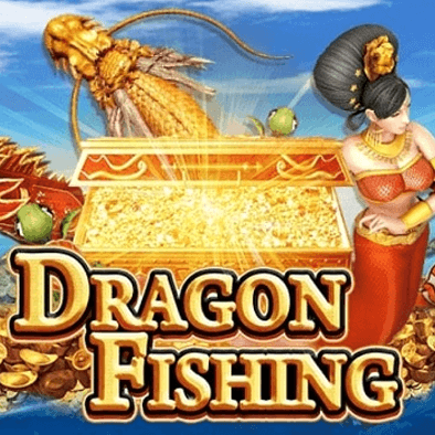 Câu Cá Rồng AX8